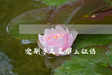 逾期多久显示上征信 逾期多久显示上征信