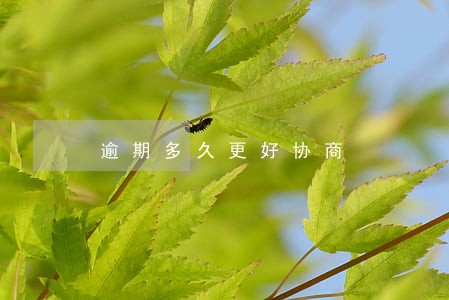 逾期多久更好协商 逾期多久更好协商