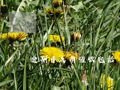 逾期多久有催收电话