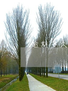 逾期多久海关强制执行 逾期多久海关强制执行