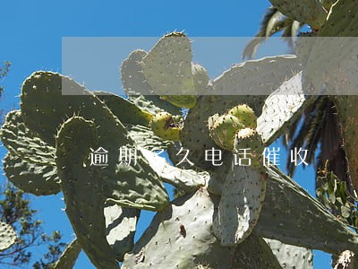 逾期多久电话催收 逾期多久电话催收