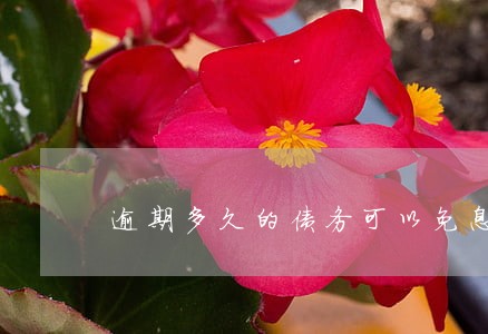 逾期多久的债务可以免息 逾期多久的债务可以免息