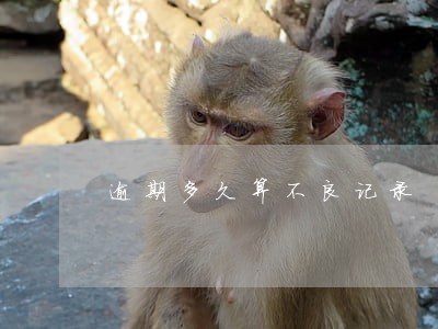 逾期多久算不良记录 逾期多久算不良记录