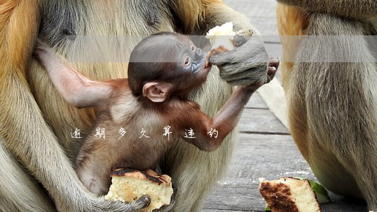 逾期多久算违约 逾期多久算违约