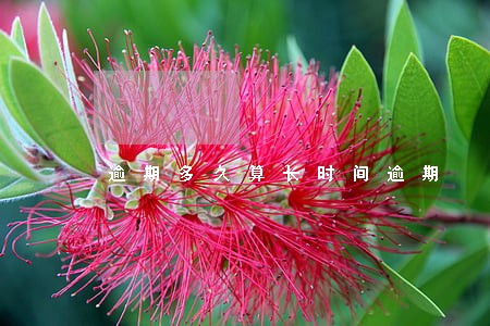 逾期多久算长时间逾期