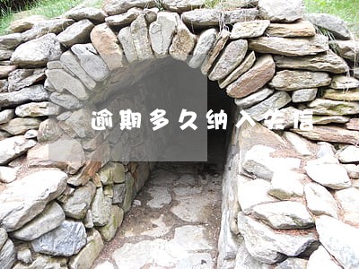 逾期多久纳入失信 逾期多久纳入失信