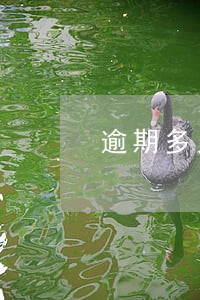 逾期多久纳税会罚款