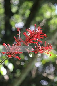 逾期多久给朋友打电话 逾期多久给朋友打电话