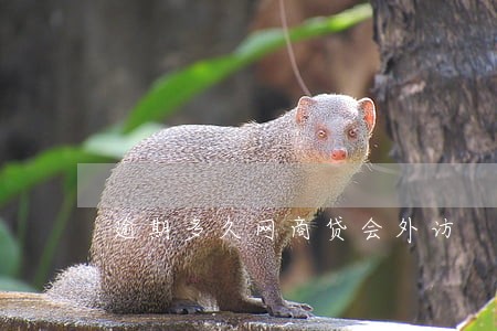逾期多久网商贷会外访 逾期多久网商贷会外访