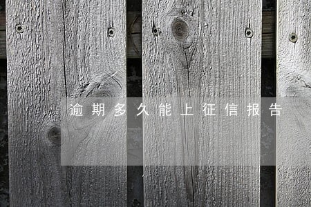 逾期多久能上征信报告 逾期多久能上征信报告