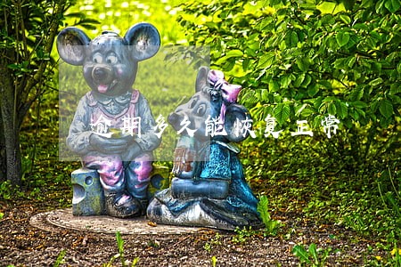 逾期多久能恢复正常