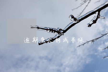 逾期多久能成呆账