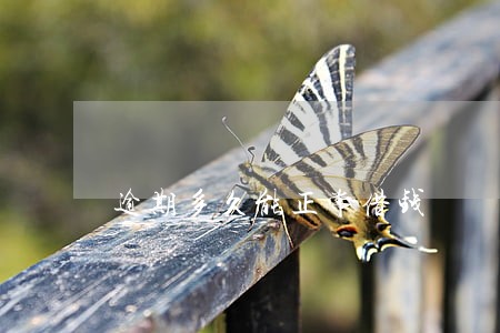 逾期多久能正常借钱