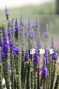 逾期多久能用信用卡还款
