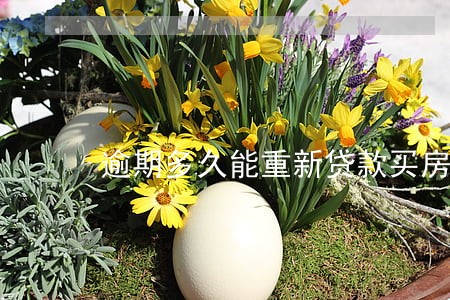 逾期多久能重新贷款买房 逾期多久能重新贷款买房