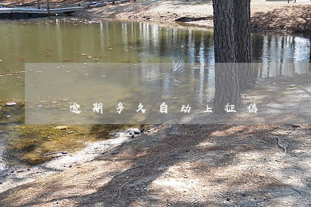 逾期多久自动上征信