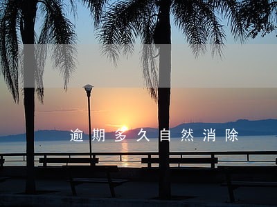 逾期多久自然消除