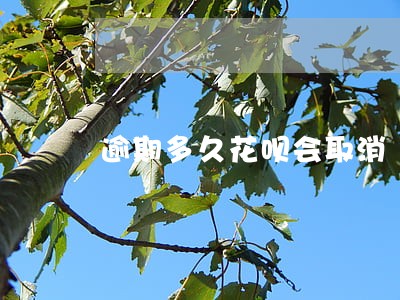 逾期多久花呗会取消 逾期多久花呗会取消