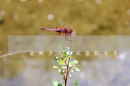 逾期多久花呗会联系亲人