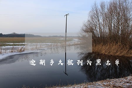 逾期多久被列为黑名单 逾期多久被列为黑名单
