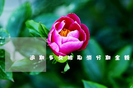 逾期多久被取消分期全额还款 逾期多久被取消分期全额还款