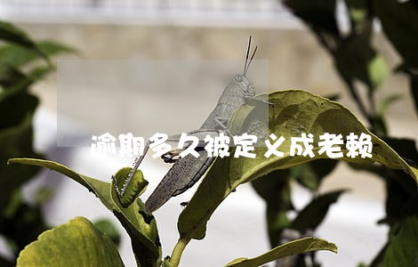 逾期多久被定义成老赖 逾期多久被定义成老赖