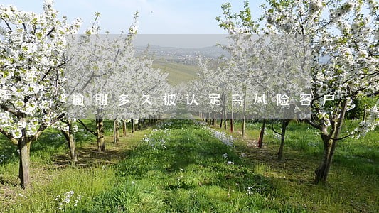 逾期多久被认定高风险客户 逾期多久被认定高风险客户