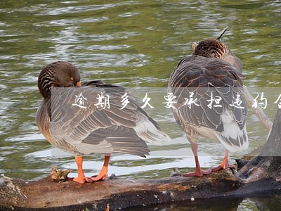 逾期多久要承担违约金
