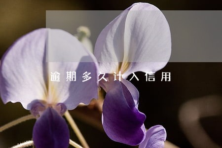 逾期多久计入信用 逾期多久计入信用