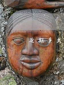 逾期多久记为不良