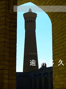 逾期多久记录