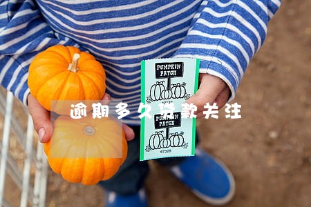 逾期多久贷款关注
