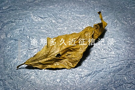 逾期多久近征信记录 逾期多久近征信记录