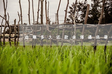 逾期多久还款会爆通讯录嘛 逾期多久还款会爆通讯录嘛