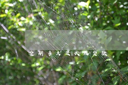 逾期多久进次级贷款 逾期多久进次级贷款