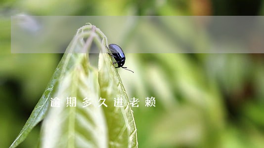 逾期多久进老赖 逾期多久进老赖
