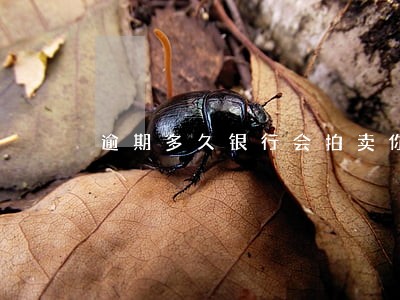 逾期多久银行会拍卖你的房子 逾期多久银行会拍卖你的房子
