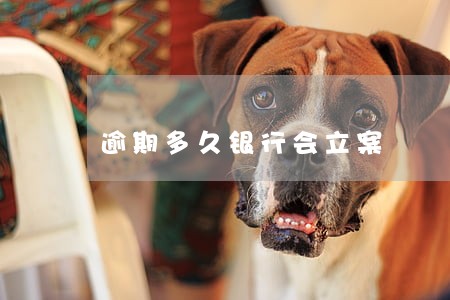 逾期多久银行会立案 逾期多久银行会立案
