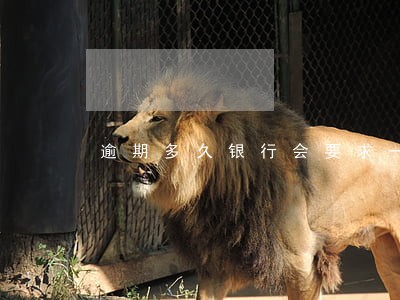 逾期多久银行会要求一次性还款 逾期多久银行会要求一次性还款