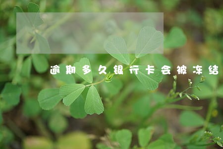 逾期多久银行卡会被冻结 逾期多久银行卡会被冻结