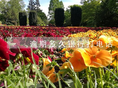 逾期多久银行打电话