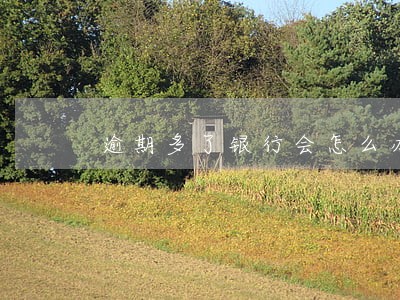 逾期多了银行会怎么办 逾期多了银行会怎么办