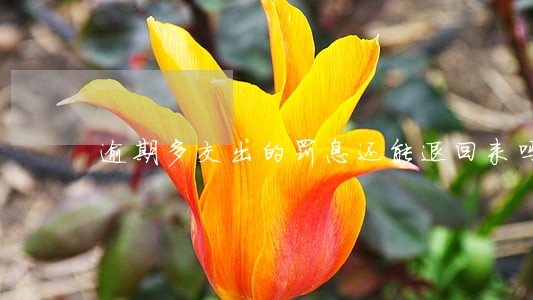 逾期多交出的罚息还能退回来吗 逾期多交出的罚息还能退回来吗