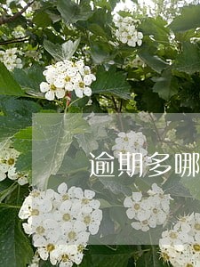 逾期多哪里可以借款 逾期多哪里可以借款