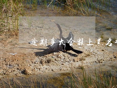 逾期多大金额上黑名单 逾期多大金额上黑名单
