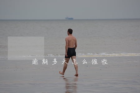 逾期多天怎么催收 逾期多天怎么催收