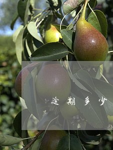 逾期多少上黑名单 逾期多少上黑名单