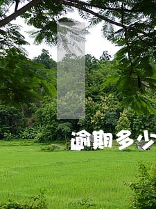 逾期多少不可以贷款买房 逾期多少不可以贷款买房
