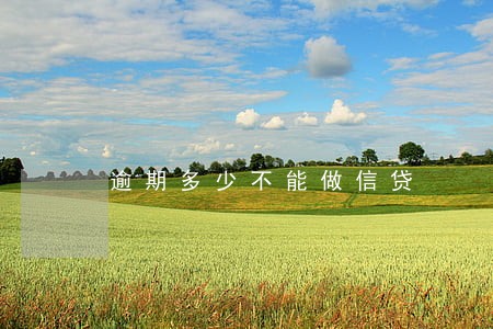 逾期多少不能做信贷 逾期多少不能做信贷