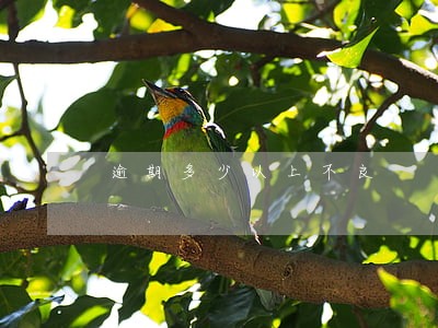 逾期多少以上不良 逾期多少以上不良